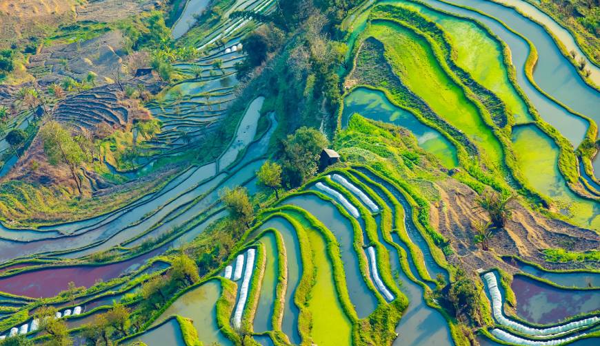 宝妈必备神器：罗江县产品视频拍摄轻松育儿好帮手