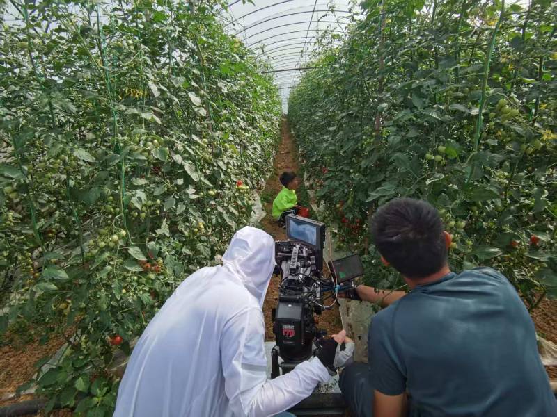 罗江县产品宣传视频拍摄公司进阶指南，助力品牌抢占传播高地